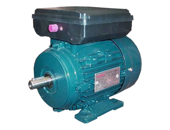 Single Phase Induction Motors 240V