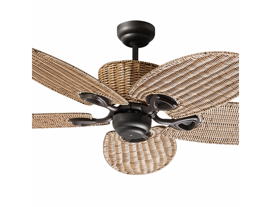 Ceiling Fan AC