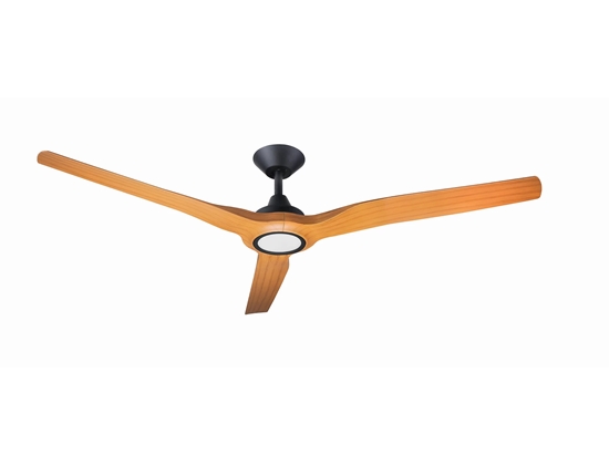 Ceiling Fan DC