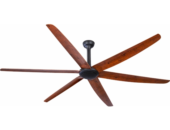 Ceiling Fan DC