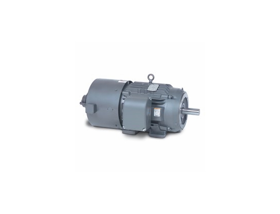 Vector + Inverter Drive AC Motors