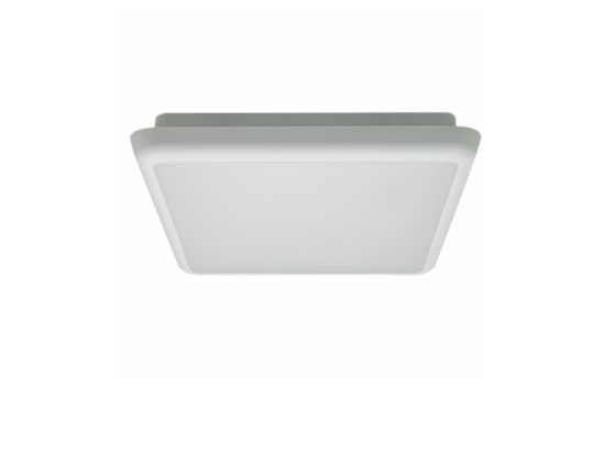 Ceiling | Surface Mounted