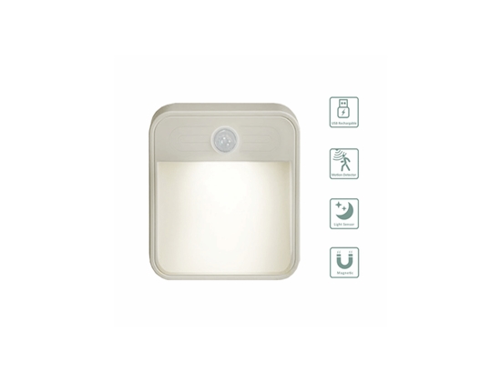 LED Motion Sensor Light